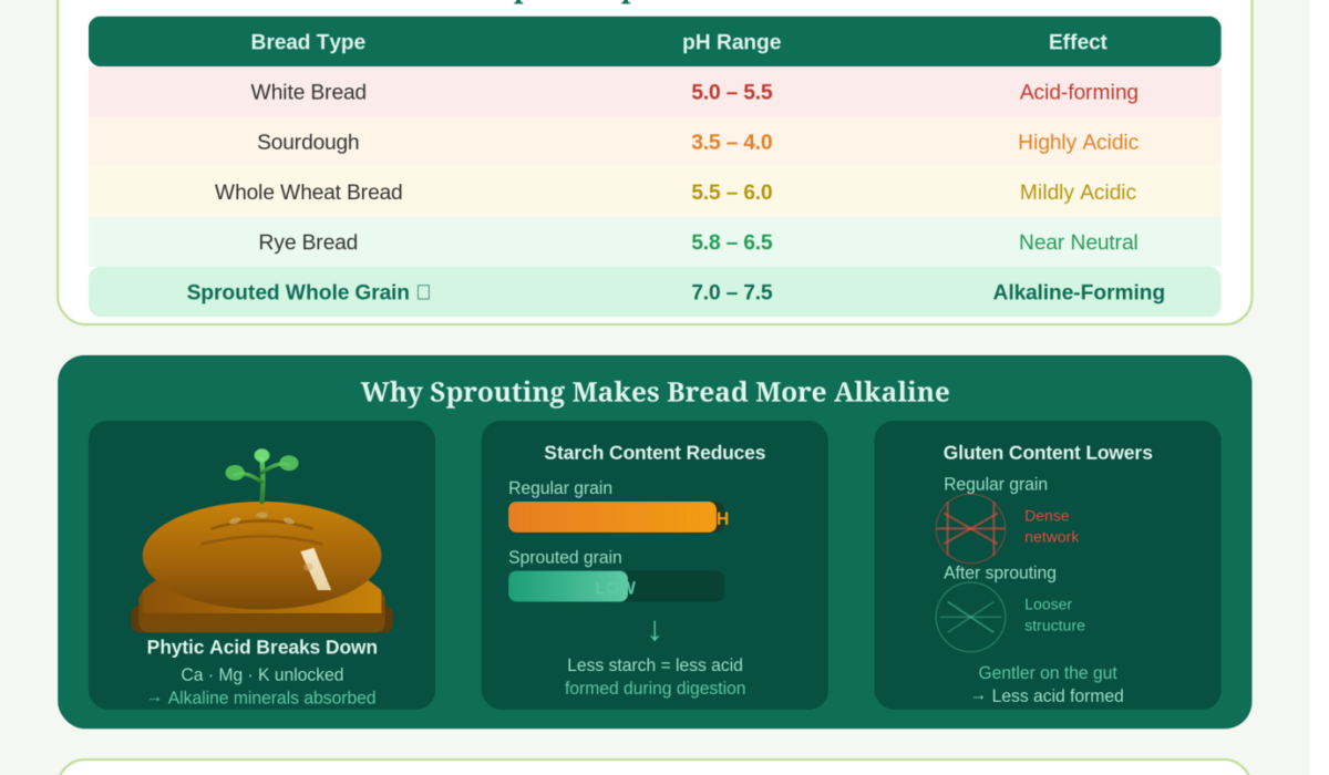 Is Sprouted Whole Grain Bread Alkaline? Infographic explaining pH impact, nutrition, and health benefits