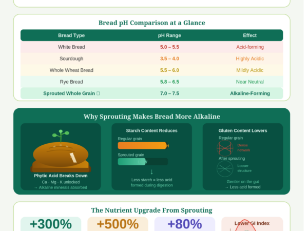 Is Sprouted Whole Grain Bread Alkaline? Infographic explaining pH impact, nutrition, and health benefits