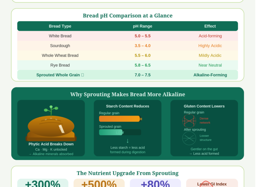 Is Sprouted Whole Grain Bread Alkaline? Infographic explaining pH impact, nutrition, and health benefits