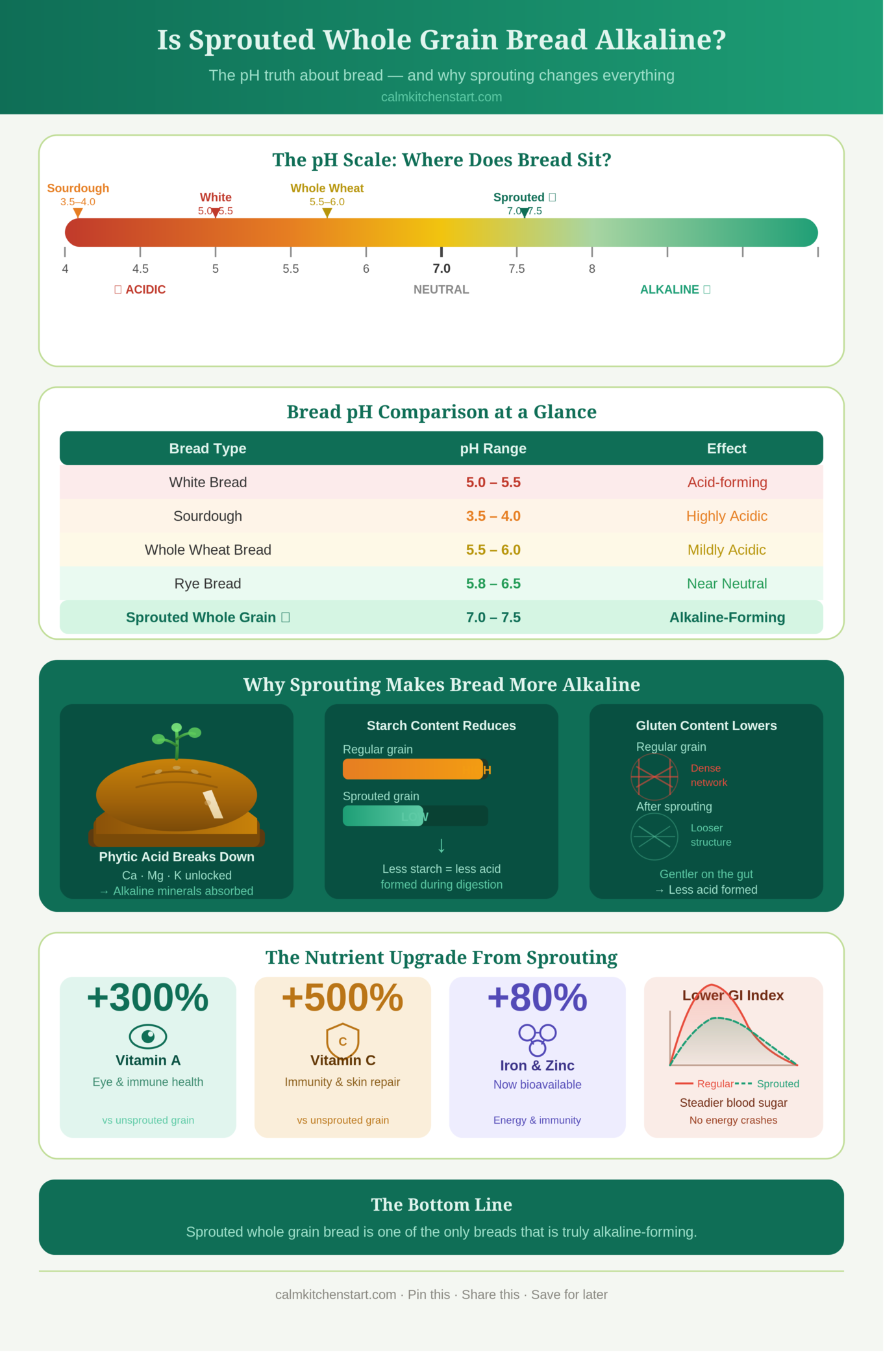 Is Sprouted Whole Grain Bread Alkaline? Infographic explaining pH impact, nutrition, and health benefits